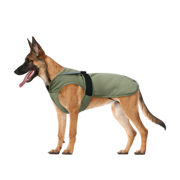 Canvas Cold Weather Dog Coat for Winter