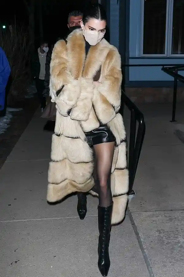 Kendall Jenner Glamorous Fluffy Fur Coat